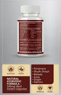 Essential Mass Gainer Supplement 60 Capsule
